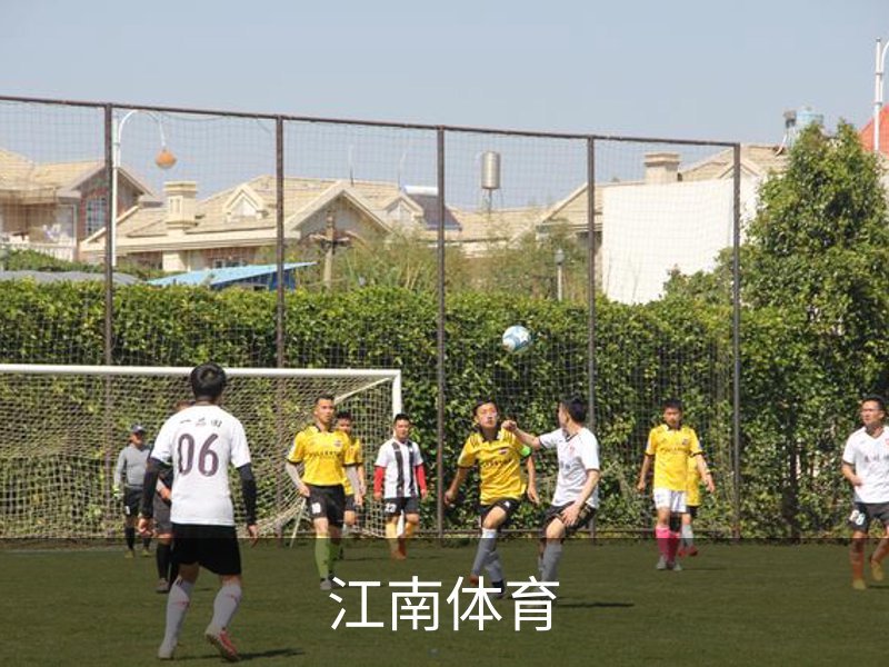 江南体育概况